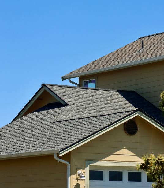 Best Roof Moss and Algae Removal  in New Plymouth, ID