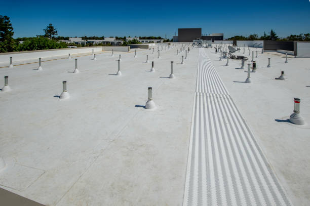 Best Sheet Metal Roofing  in New Plymouth, ID